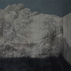 Xu Hong 徐弘