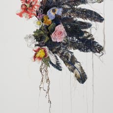 Carola van Dyke