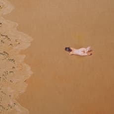 Armando Castro - Uribe