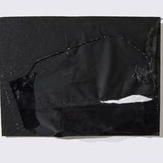 Michelle Thomas Richardson