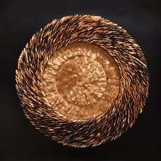 Xiao Hui Hou 侯晓晖