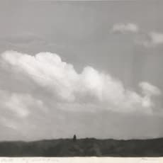 Ruxandra Cristina Bocin-Dumitriu