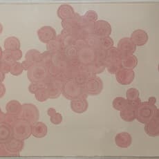 Renato Bezerra de Mello