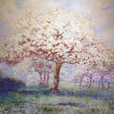 Willy Herman Schlobach