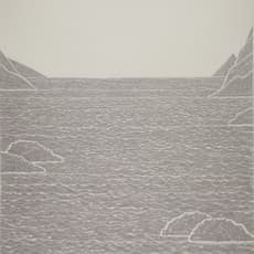 Wang Chao (b. 1985)