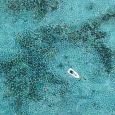 Elizabeth Langreiter