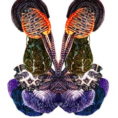 Alisa Sikelianos-Carter