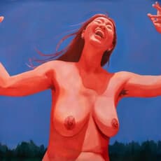 L. Song Wu