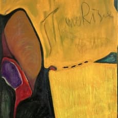 Wang Kaifan 王凯凡