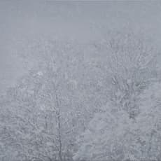 Yasue Kodama 児玉 靖枝