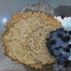Melinda Schawel