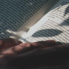 Luke Fowler & Toshiya Tsunoda