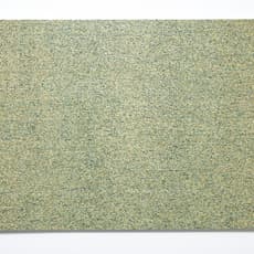 Wonjin Kim