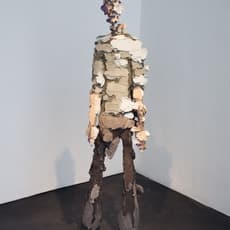 Vesa-Pekka Rannikko