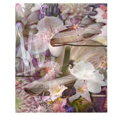 Liu Shiyuan 刘诗园