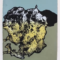 Will Hutnick