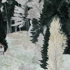 SO YOUNG KWON 권소영