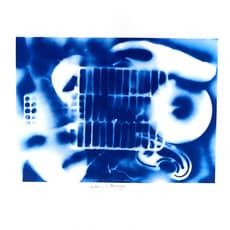 William S. Burroughs