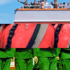 Mao Chenyu 毛晨雨