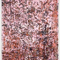 Rui Miguel Leitão Ferreira