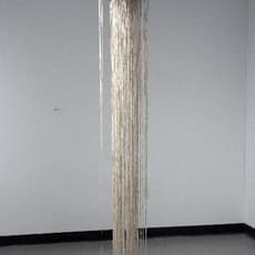 rebecca hutchinson