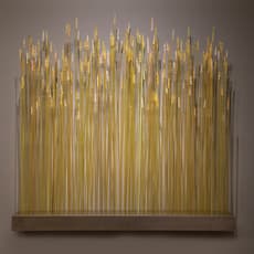 JP Canlis