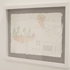 Sophia Sobers