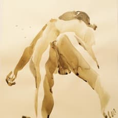 Sam Harrison