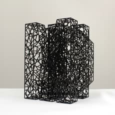 Shinil Kim