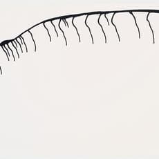 Anna Maria Maiolino, Codificações Matéricas (1994)