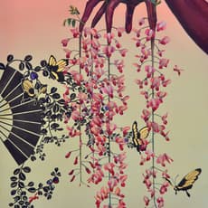 Takashi ONISHI 大西高志