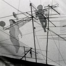 David Robbins