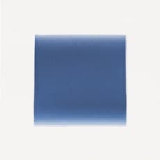 Nicole Phungrasamee Fein