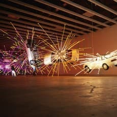 Cai Guo-Qiang 蔡国强