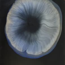 peter flaccus