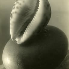 Josef Sudek