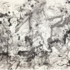 Shigeru Onishi 大西 茂