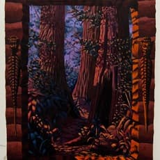Tom Prinsell