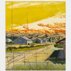 Nicole Irene Anderson