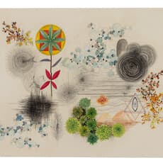 Shailika Shrivastava