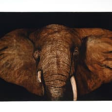 Frédéric Desaulniers