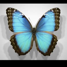 Maki Toshima 戸島 麻貴