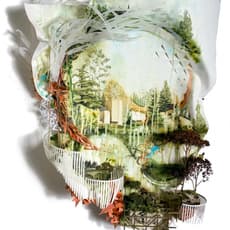 Gregory Euclide