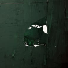 Mohammadreza Mirzaei