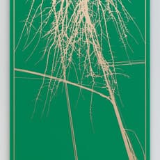 Kristyna and Marek Milde