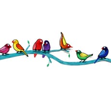 Shay Peled (Tzuki Studio)