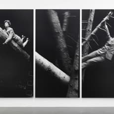 Anna & Bernhard Blume