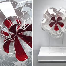 Xiaojing Yan 閆曉靜