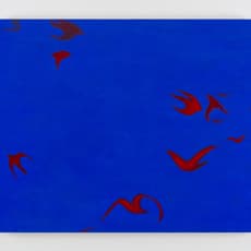 Hilarie Hon 韓幸霖