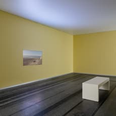 Nikolay Karabinovych